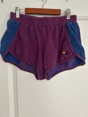 Aviator Nation Colorblock Sweat Shorts Purple and Blue Large